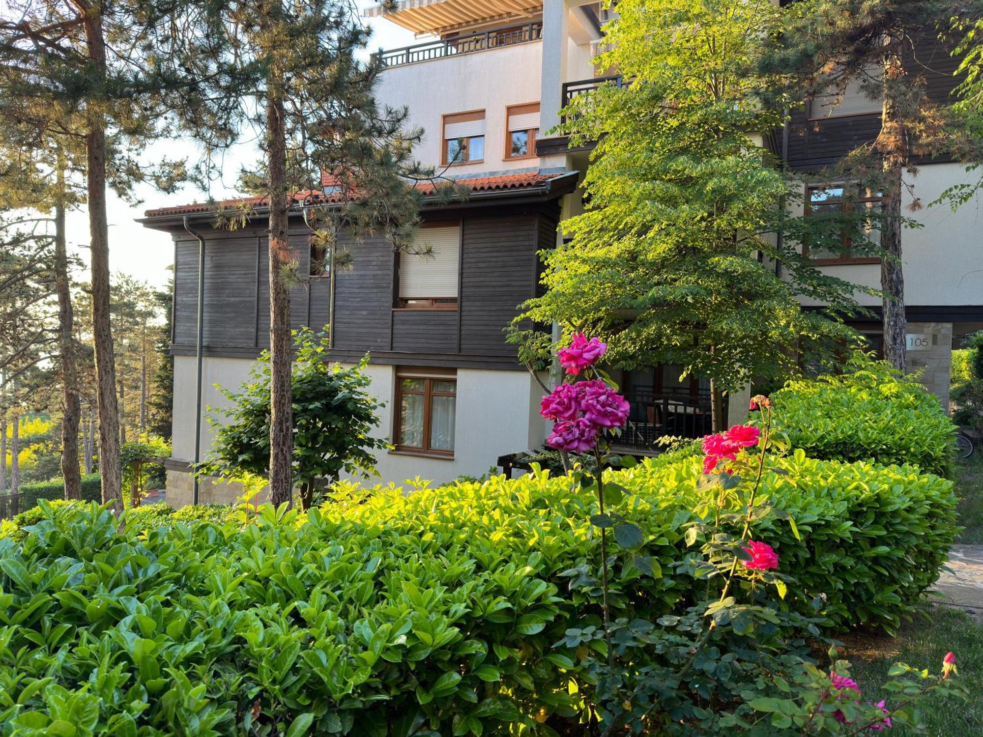 Sm Lovely Apartments On The First Line In 索佐波尔 外观 照片